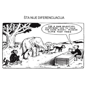 Diferencijacija u nastavi društveno-humanističkih predmeta